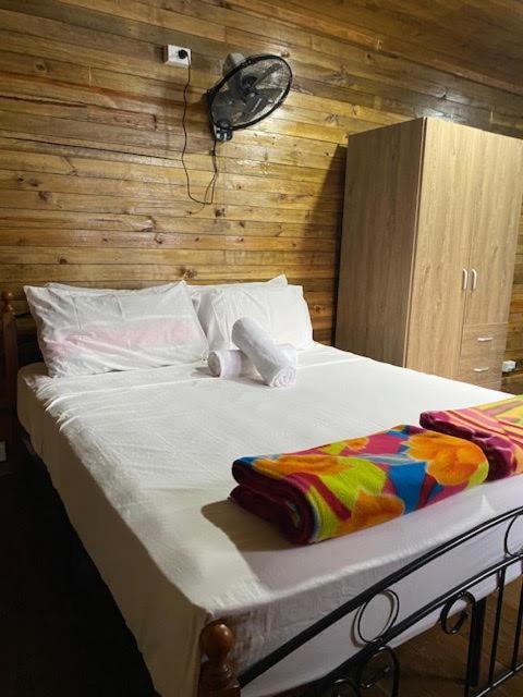 マテイ Camp Taveuniホステル エクステリア 写真